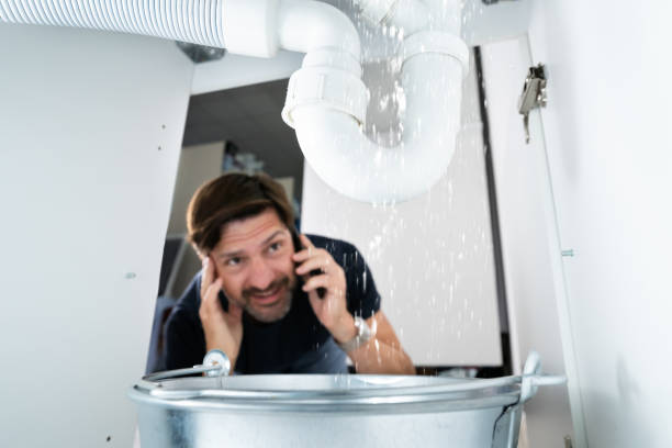 Best Drain Cleaning Services  in Rogers, MN