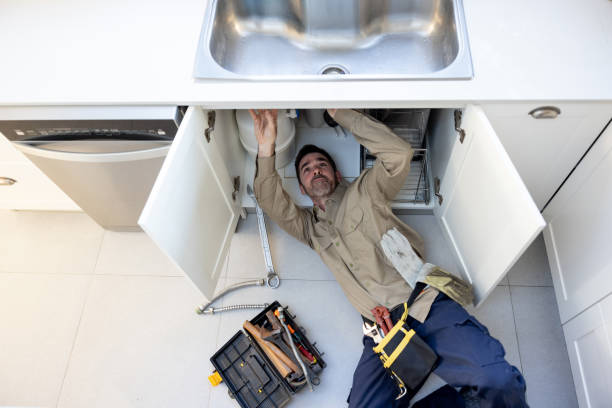 Best Local Plumber Services  in Rogers, MN