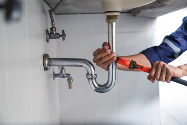 Best Clogged Drain Plumber  in Rogers, MN