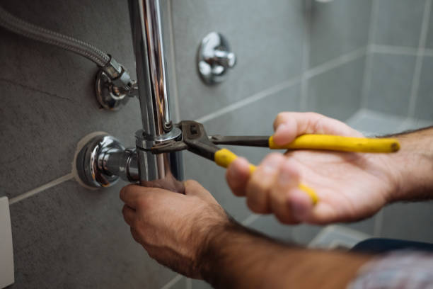  Rogers, MN Plumbing Pros