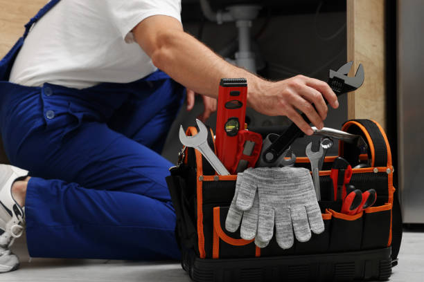 Best Best Plumbers Near Me  in Rogers, MN