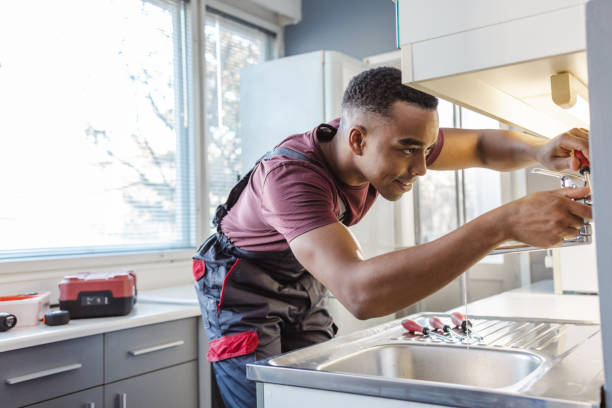 Best Affordable Plumbing Services  in Rogers, MN
