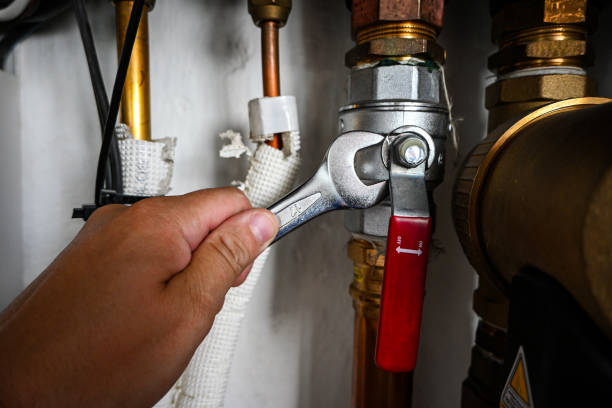 Best Plumbing Repair Near Me  in Rogers, MN